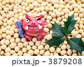 節分