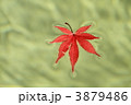 3879486