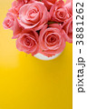3881262