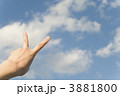 3881800