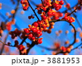 3881953