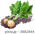 suzuna1213pix