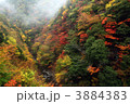 秋の高野山