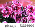 3884909