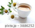 コーヒーと浜菊