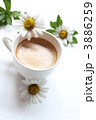 コーヒーと浜菊