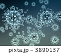 ウイルス