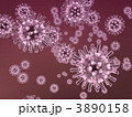 ウイルス