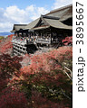 紅葉の清水寺