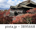 紅葉の清水寺