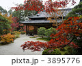 紅葉の南禅寺天授庵