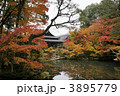 紅葉の南禅寺天授庵