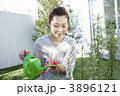 植木に水やりをする女性