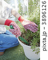 鉢の植え替えをする女性