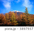 秋の富士山五合目