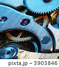 3903846