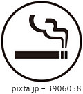 3906058