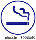 3906060