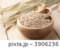 玄麦