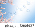 3906927
