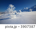 白樺の樹氷と美瑛富士