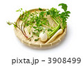 春の七種