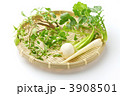 春の七種