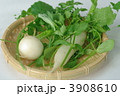 春の七草
