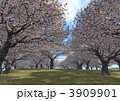 幻想世界「桜満開図＜真昼＞」