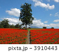 3910443