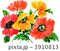 ポピー1218pix