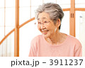 3911237
