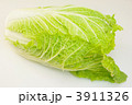 白菜