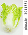 白菜