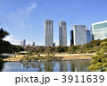 3911639