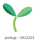 3912223