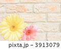 3913079