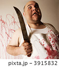 3915832