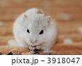 3918047