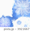 3921667