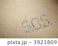 3921809