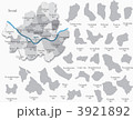 3921892