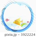 3922224