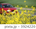 3924220
