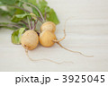 ゴールデンラディッシュ