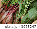 土付き西洋野菜