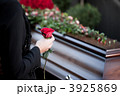 3925869