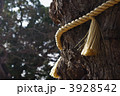 3928542