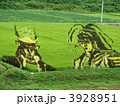 田んぼアート