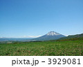 羊蹄山